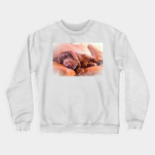 Sussex Spaniel Sleeping Crewneck Sweatshirt